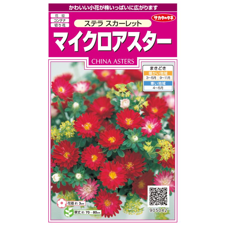 サカタのタネ 実咲350 マイクロアスター ステラ スカーレット 小袋[905042]【取り寄せ注文】【2027年春種予約商品】＊春のみ商品