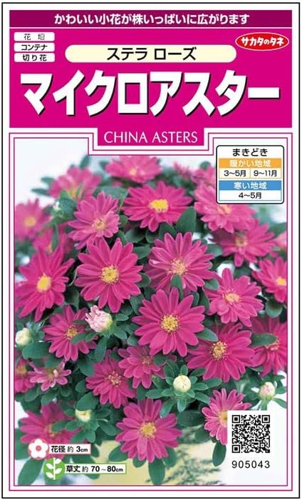 サカタのタネ 実咲350 マイクロアスター ステラ ローズ 小袋[905043]【取り寄せ注文】【2027年春種予約商品】＊春のみ商品