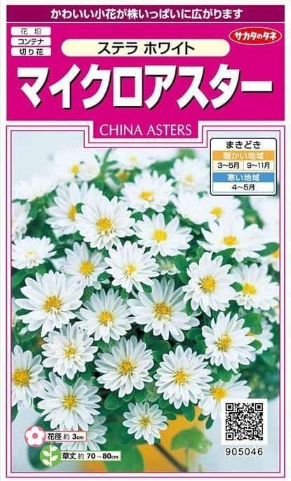 サカタのタネ 実咲350 マイクロアスター ステラ ホワイト 小袋[905046]【取り寄せ注文】【2027年春種予約商品】＊春のみ商品