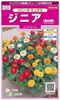 サカタのタネ 実咲350 ジニア(百日草)ジニータ ミックス 小袋[905646]【取り寄せ注文】【2027年春種予約商品】＊春のみ商品