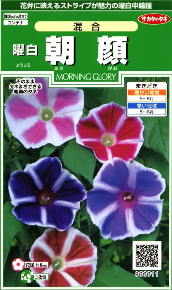 サカタのタネ 実咲250 曜白朝顔 混合 小袋[906011]【取り寄せ注文】【2027年春種予約商品】＊春のみ商品