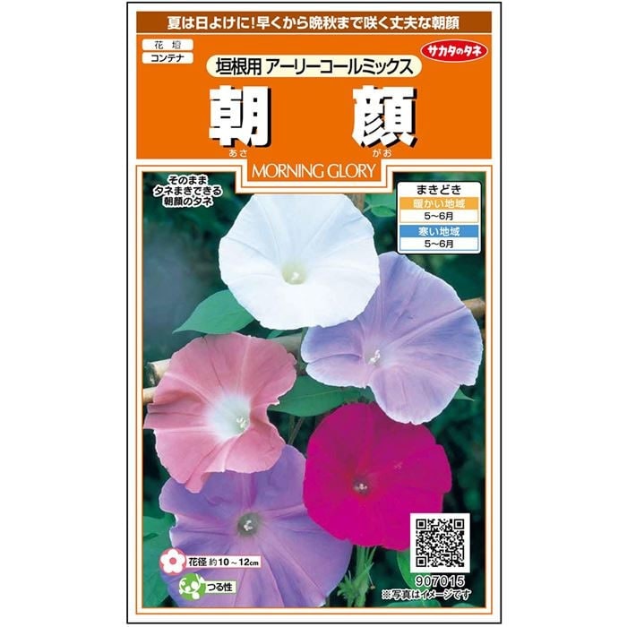 サカタのタネ 実咲200 朝顔 垣根用アーリーコールミックス 小袋[907015]【取り寄せ注文】【2027年春種予約商品】＊春のみ商品