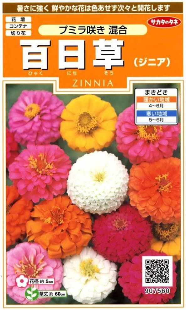 サカタのタネ 実咲200 百日草（ジニア）プミラ咲き 混合 小袋[907560]【取り寄せ注文】【2027年春種予約商品】＊春のみ商品