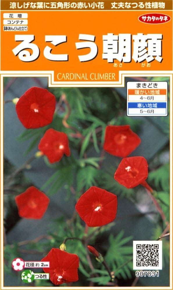 サカタのタネ 実咲200 るこう朝顔 小袋[907831]【取り寄せ注文】【2027年春種予約商品】＊春のみ商品