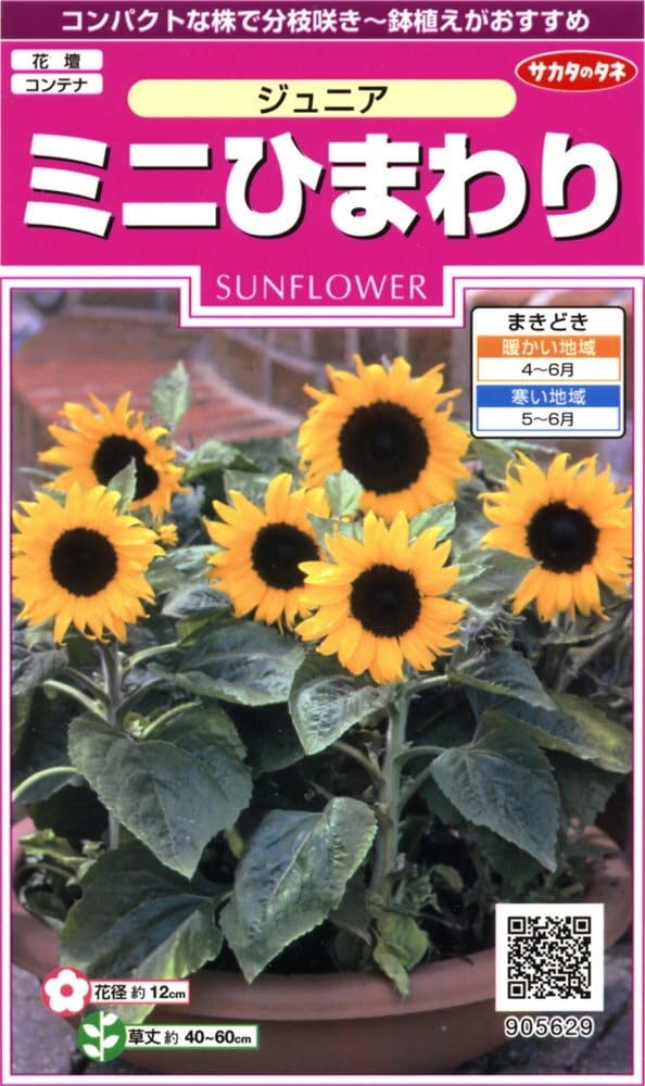 草花種子（小袋）,ひまわり | 小林種苗公式通販