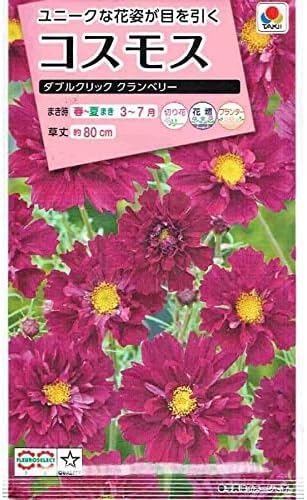 草花種子（小袋）,コスモス | 小林種苗公式通販
