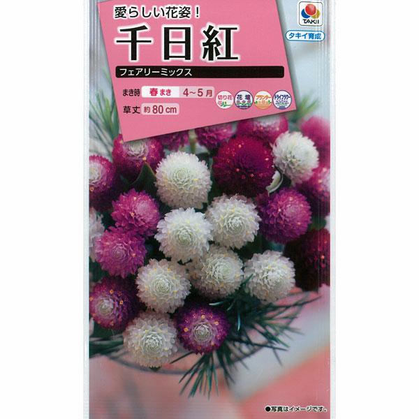 タキイ NL300 千日紅 フェアリーミックス 小袋[FSE170]【取り寄せ注文】【2027年春種予約商品】＊春のみ商品