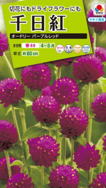 タキイ NL200 千日紅 オードリーパープルレッド 小袋[FSE167]【2027年春種予約商品】＊春のみ商品