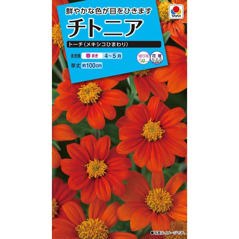 タキイ NL150 チトニア トーチ（メキシコひまわり) 小袋[FZZ330]【取り寄せ注文】【2027年春種予約商品】＊春のみ商品