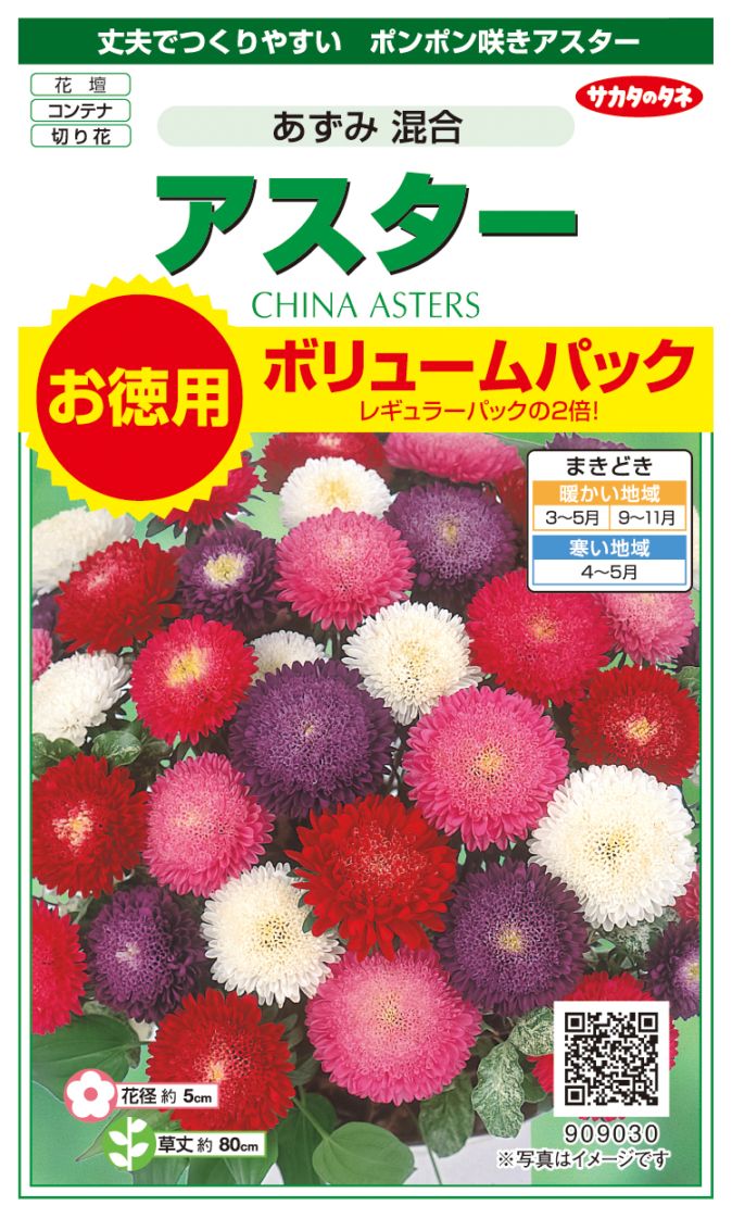 サカタのタネ アスター あずみ 混合 お徳用ボリュームパック[909030]【取り寄せ注文】【2027年春種予約商品】＊春のみ商品