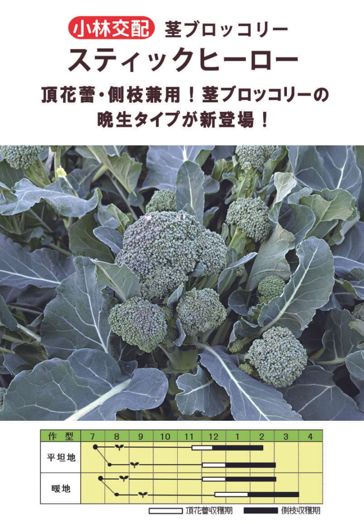 <{$recommend_item.list[i].name}>
