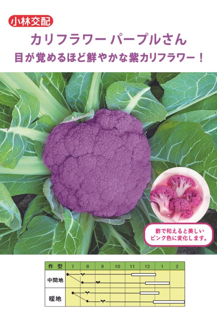 <{$recommend_item.list[i].name}>