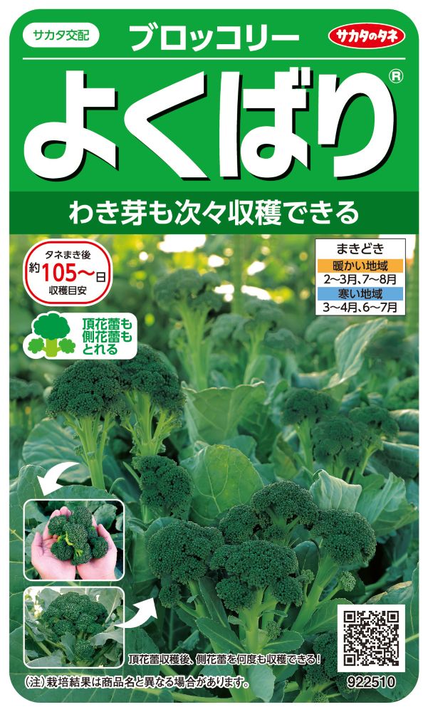葉菜類,ブロッコリー | 小林種苗公式通販