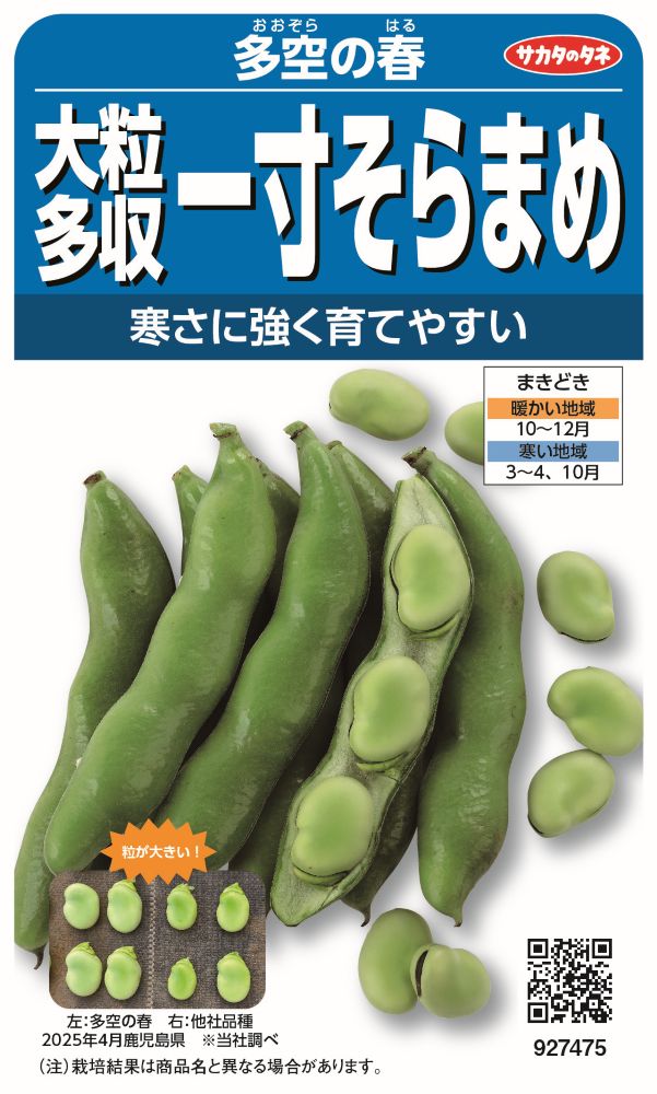 果菜類 豆類,ソラマメ | 小林種苗公式通販