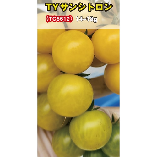 トキタ種苗 ミニトマト種子 TYサンシトロン【取り寄せ注文】