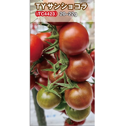 トキタ種苗 ミニトマト種子 TYサンショコラ【取り寄せ注文】