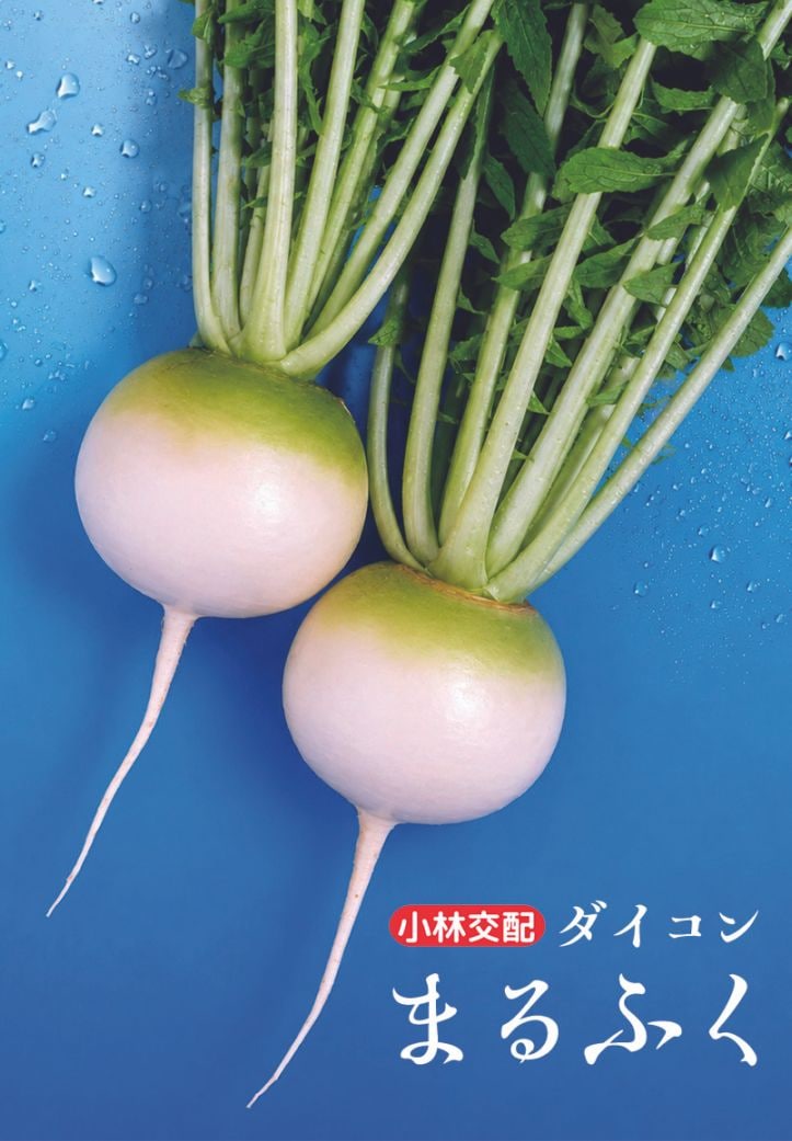 <{$recommend_item.list[i].name}>