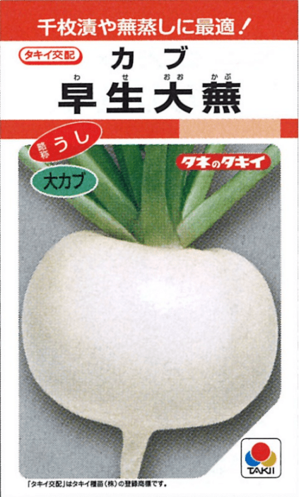 【キャンセル特価品】タキイ種苗 ダイコン種子 早生大根 3.5ml ＊種子有効期限2027年4月末有効
