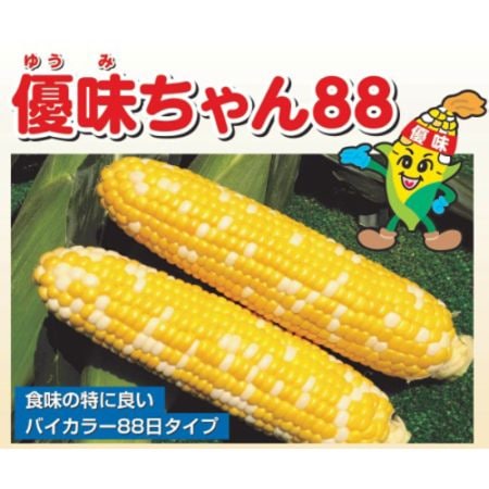 清水種苗 スイートコーン種子 優味ちゃん88【取り寄せ注文】