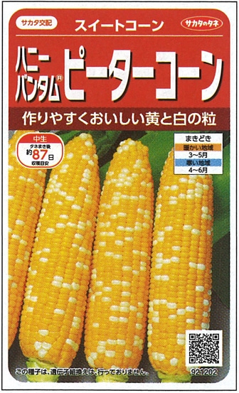 サカタのタネ スイートコーン種子 ハニーバンタム ピーターコーン【取り寄せ注文】 ※1月以降～入荷予定 ※春のみの商品