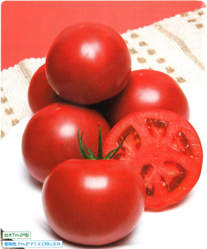 タキイ種苗 トマト種子 CFハウス桃太郎[ATM02P]【取り寄せ注文】※春のみ商品【2026年春種予約商品】