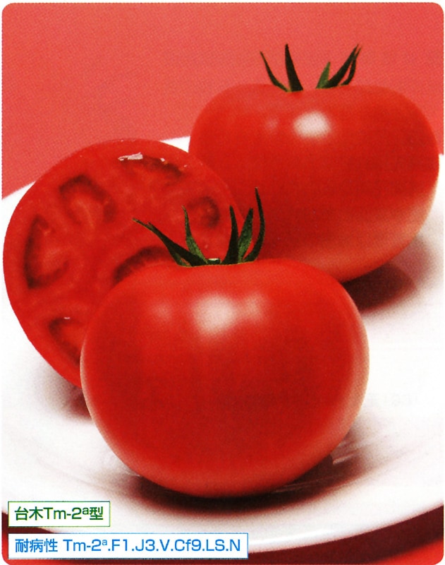 タキイ種苗 トマト種子 CF桃太郎J[ATM02R]【取り寄せ注文】※春のみ商品【2026年春種予約商品】