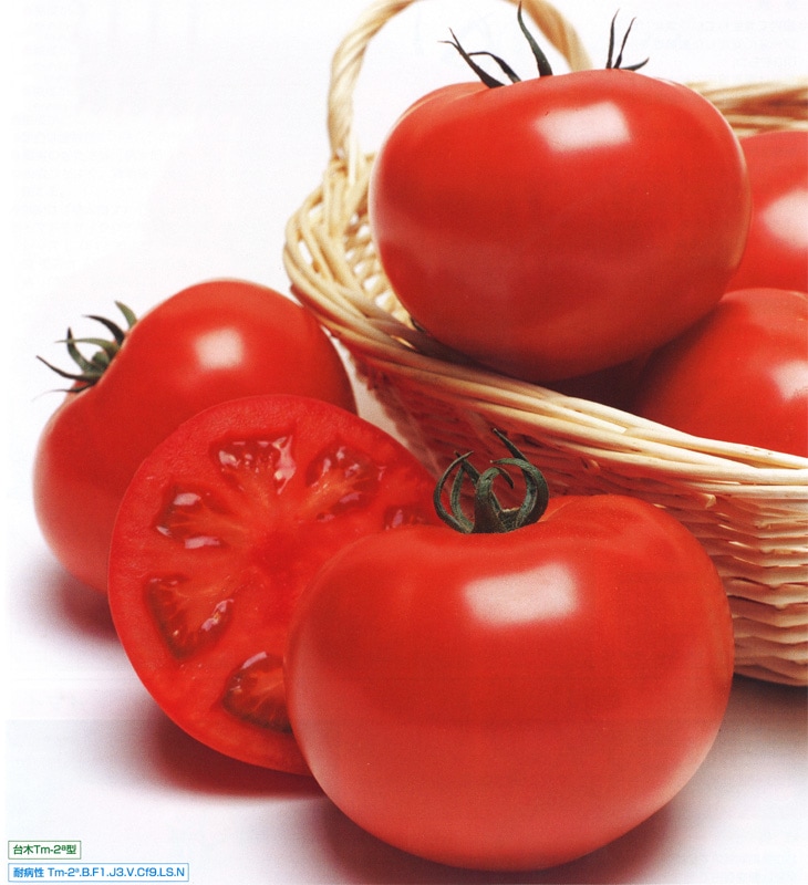 タキイ種苗 トマト種子 桃太郎グランデ[ATM01W]【取り寄せ注文】※春のみ商品【2026年春種予約商品】