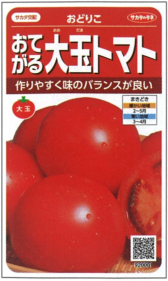 サカタのタネ トマト種子 おどりこ 実咲小袋[920001]【取り寄せ注文