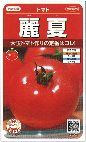 サカタのタネ　トマト種子　麗夏【取り寄せ注文】※春のみの商品　＊種子有効期限2024年10月末