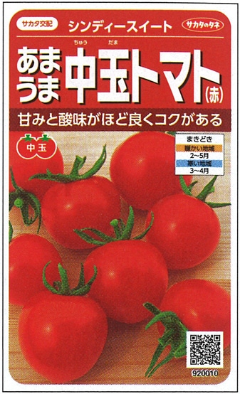 サカタのタネ 中玉トマト種子 シンディースイート【取り寄せ注文】※春のみの商品【2026年春種予約商品】