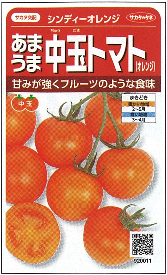 サカタのタネ 中玉トマト種子 シンディーオレンジ【取り寄せ注文