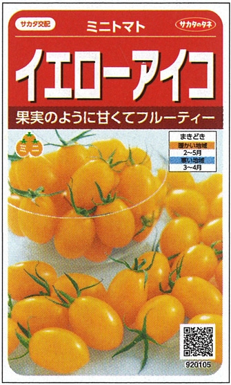 サカタのタネ ミニトマト種子 イエローアイコ[920105]【取り寄せ注文