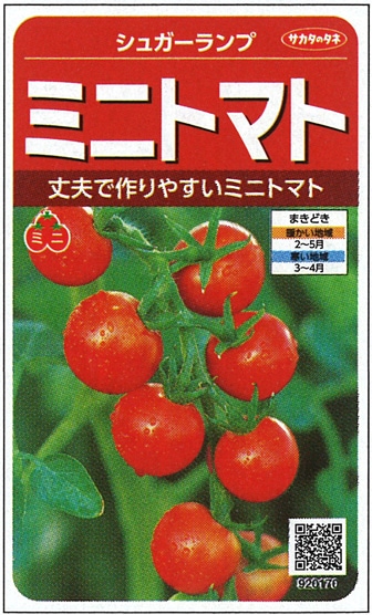サカタのタネ ミニトマト種子 シュガーランプ 実咲小袋[920170