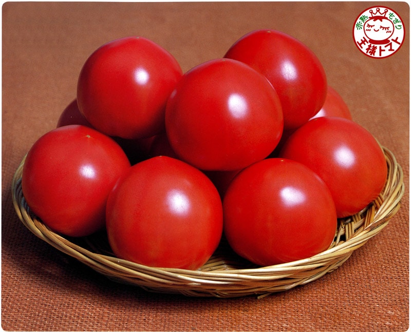 サカタのタネ トマト種子 パルト【取り寄せ注文】※春のみの商品