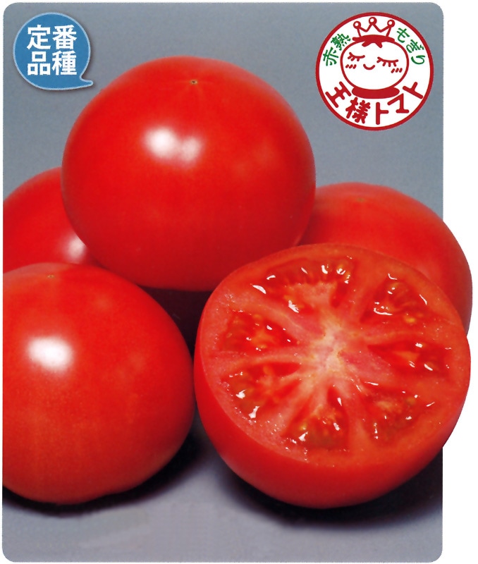 サカタのタネ トマト種子 麗容【取り寄せ注文】※春のみの商品