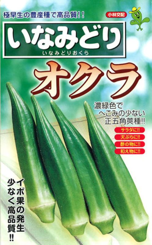 小林種苗 オクラ種子 いなみどり ＊種子有効期限2026年10月末