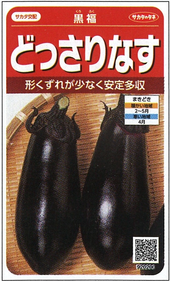 サカタのタネ ナス種子 黒福【取り寄せ注文】※春のみ商品【2026年春種