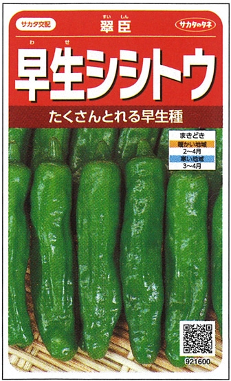 トウダ様 確認用 タピス クラフトチェック｜床材商品情報｜田島ルーフィング