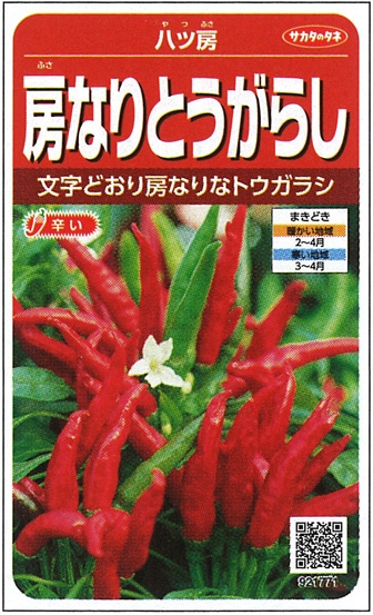 唐辛子の香合 唐辛子の香合