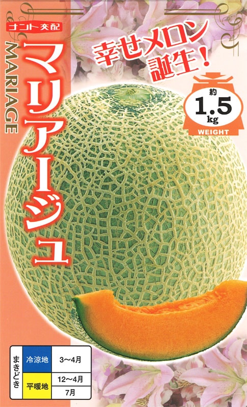 メロン Amazon.co.jp: 北海道産メロン JAきょうわ らいでんメロン（赤