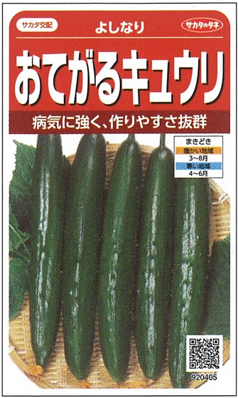サカタのタネ キュウリ種子 よしなり【取り寄せ注文】※春のみの