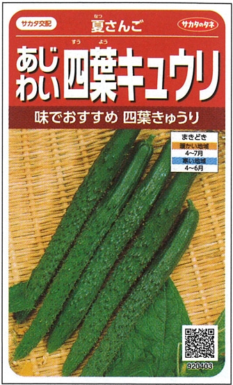 森のきゅうりさま依頼資料 森のきゅうりさま依頼資料 きゅうり－月報 野菜情報－今月の野菜－2010年9