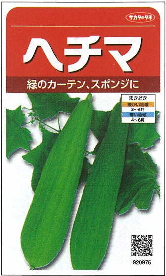 サカタのタネ　ヘチマ種子　へちま　実咲小袋[920975]【取り寄せ注文】※春のみ商品