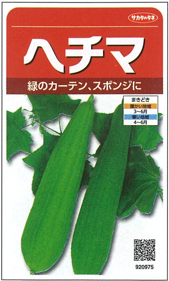 サカタのタネ　ヘチマ種子　へちま　実咲小袋[920975]【取り寄せ注文】※春のみの商品※種子有効期限2024年10月末