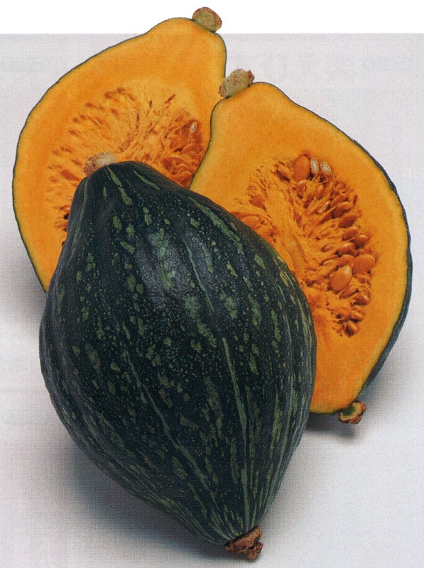 タキイ種苗 カボチャ種子 ロロン[ANK088]【取り寄せ注文】※春のみ商品