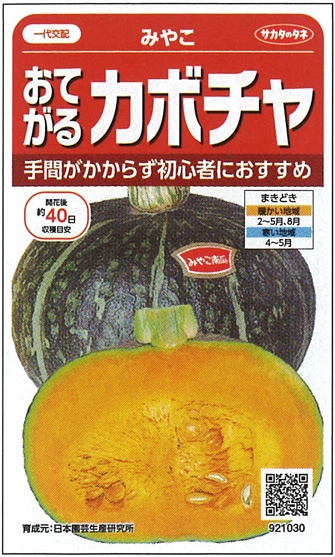 サカタのタネ カボチャ種子 みやこ【取り寄せ注文】※春のみの商品