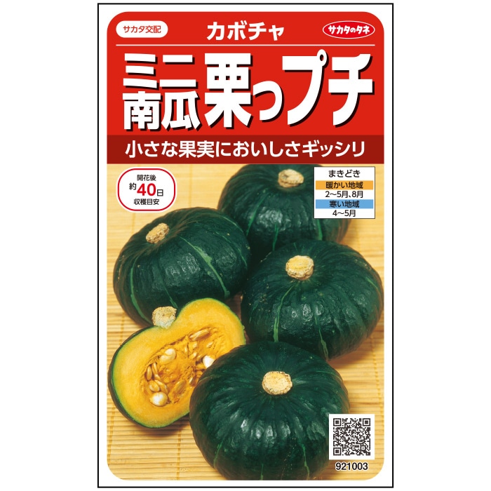 サカタのタネ　 カボチャ種子　 栗っプチ　ミニカボチャ「旧：栗坊」【取り寄せ注文】※春のみ商品【取り寄せ注文】*種子有効期限2025年10月末　
