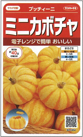 サカタのタネ　カボチャ種子　プッチィーニ　ミニカボチャ【取り寄せ注文】【取り寄せ注文】＊種子有効期限2025年10月末※春のみの商品　
