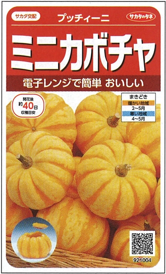 サカタのタネ　カボチャ種子　プッチィーニ　ミニカボチャ【取り寄せ注文】※春のみの商品　＊種子有効期限2024年10月末