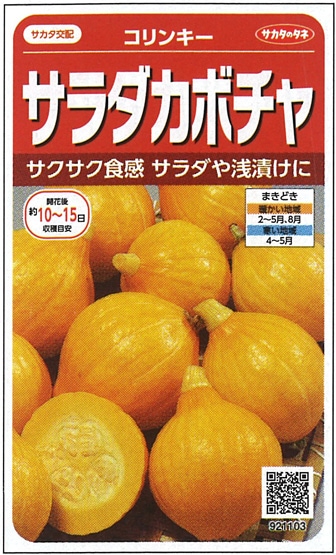 サカタのタネ　カボチャ種子　コリンキー フレッシュ野菜　PVP【取り寄せ注文】※春のみの商品*種子有効期限2025年9月末　